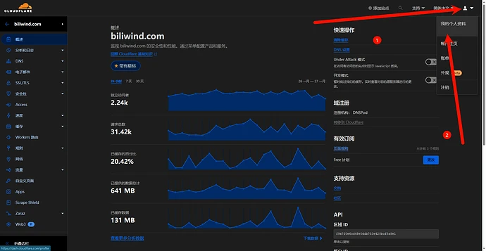 1Panel CloudFlare证书申请失败的解决方案