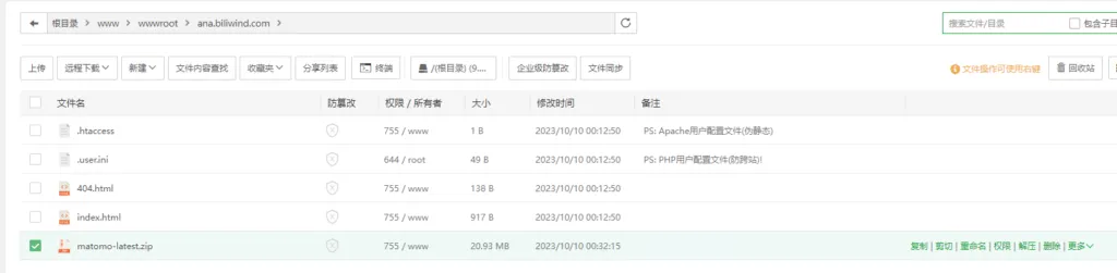使用Matomo搭建自己的网站统计系统 7