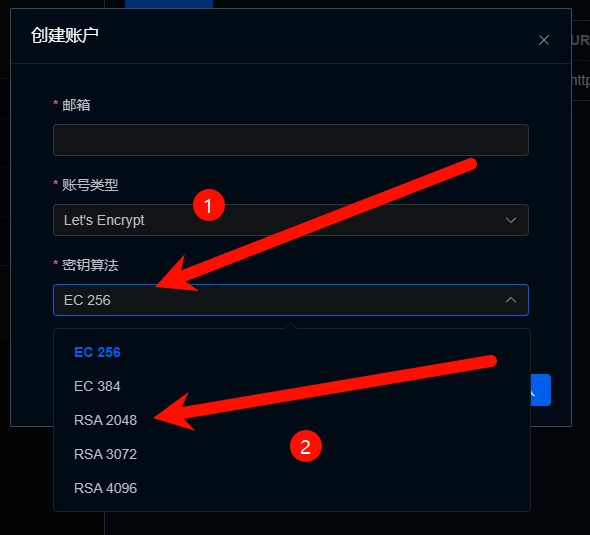 1Panel CloudFlare证书申请失败的解决方案 11